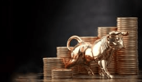 How Bull Runs Create Wealth Opportunities